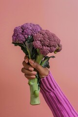 Wall Mural - Fresh and Colorful Purple and Green Cauliflower Bunches on Pink Background for Health and Wellness Concept