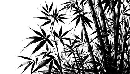 Wall Mural - Bamboo silhouette isolated on transparent background