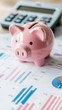 © keks20034 - A pink piggy bank on the background of financial charts and a calculator symbolizes financial management
