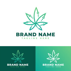 Modern eco freindly green medical cannabis ymbol icon flat logo stock vector design