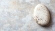 © BerkahStock - A Single Smooth Stone on a Gray Background