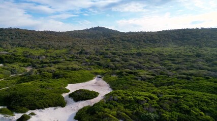 Wall Mural - Aerial views over coastal vegetation near white sandy beach in Tasmania, Australia