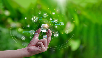 Wall Mural - glass globe in hand to organization sustainable development environmental. business responsible envi