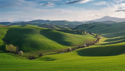 Wall Mural - Fresh green fields in spring with a blue sky backdrop on a hill