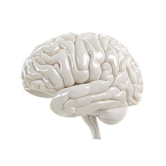 3d render brain icon on transparent background