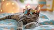 © Salander Studio - a cat wearing sunglasses lying lazily on a beach towel