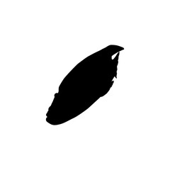 Wall Mural - Silhouette of the The Humphead wrasse (Cheilinus undulatus), also known as the Māori wrasse, Napoleon wrasse, Napoleon fish. Flat Style, can use for Logo Gram, Animal Illustration, Pictogram, ect