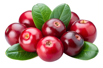 Red cranberries isolated on a transparent background png
