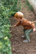 © Anastasiya Famina - A little red-haired boy holds a rake in the garden, digging the ground. Summer in the village
