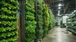© Koborixgen - Vertical hydroponic farm inside repurposed warehouse,