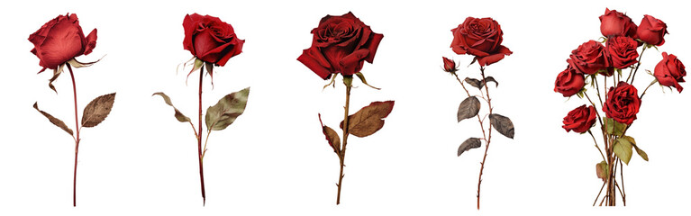 Sticker - Elegant red roses png cut out element set