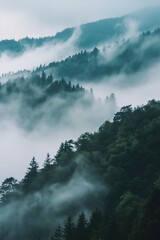 Wall Mural - A misty forest with trees and a foggy sky. The atmosphere is calm and serene, with the mist creating a sense of mystery and tranquility. The trees are tall and dense, providing a sense of depth
