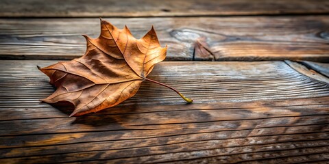 Dried leaf laying on wooden surface , autumn, nature, dry, texture, plant, foliage, brown, decay, fallen, seasonal