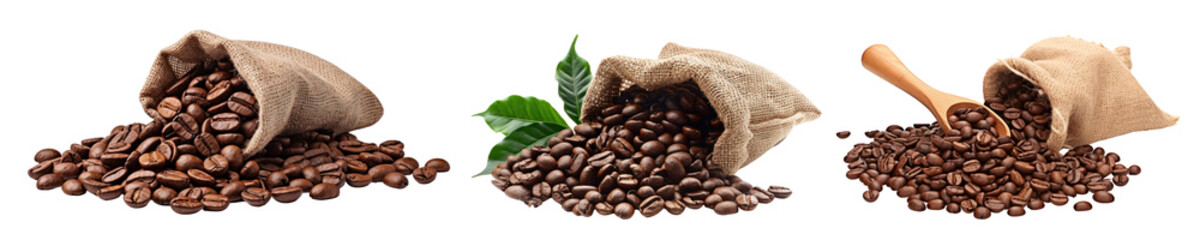 Wall Mural - realistic photo of coffee beans png cut out element set