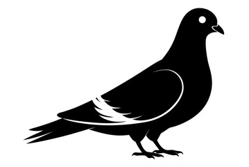 Beautiful bird pigeon silhouette black icon vector art illustration