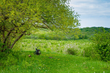 Sticker - Spring landscape