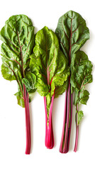 Wall Mural - Swiss chard on white background