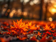 © icemanphotos - Autumn colorful bright leaves on tree in autumnal park. Autumnal pattern background fall backdrop. Raindrops and serene sunset light, soft focus bokeh blur tranquil. Magical mood, colorful foliage. AI
