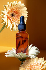 Wall Mural - Face serum or oil concept. Natural cosmetic. Clear glass bottle filled with golden essential oil serum is placed on a yellow-brown background surrounded by gerbera flowers.