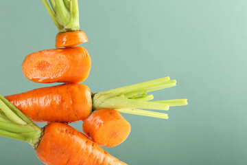 Poster - Whole and cut fresh carrots on green background, closeup. Space for text