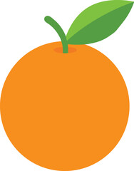 Wall Mural - orange fruit vector illustration