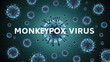© Art of Life - Background filled with viral structures and the text 'Monkeypox Virus' in bold.