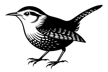 wren silhouette vector illustration