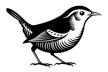 wren silhouette vector illustration