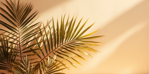 Canvas Print - Palm Leaf Shadows on a Beige Wall