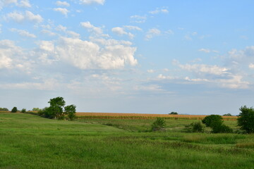 Wall Mural - Farm Field