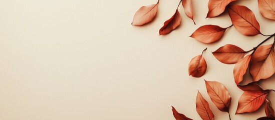 Poster - Autumn arrangement Orange leaves on a beige backdrop with copy space Top view Flat layout Left side