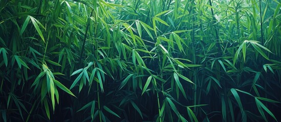 Fototapete - Panoramic background of a green and blue bamboo jungle featuring copy space
