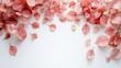 © Wasun - A frame of pink autumn leaves on a white background.  Perfect for fall themed designs.