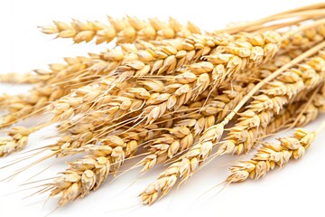 Wall Mural - Bunch of wheat isolated on white background representing agriculture and healthy food