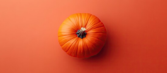 Poster - Autumn pumpkin from above flat lay overhead view. with copy space image. Place for adding text or design