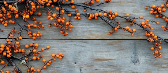 Leinwandbilder - Flat lay featuring an autumn arrangement of common sea buckthorn and briar branches on a wooden surface. with copy space image. Place for adding text or design