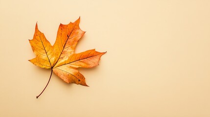 a single yellow maple leaf on a light beige background.
