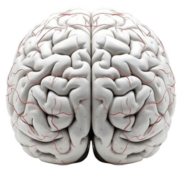 Sticker - PNG Human brain tomography porcelain medical.