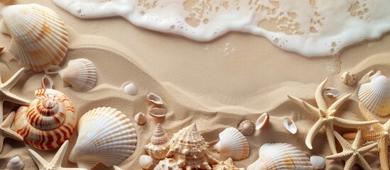 Picture frame on a background of shells and sand Copy space