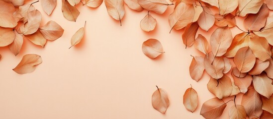 Poster - Autumn leaves in a dried state on a pastel background Flat lay top view copy space