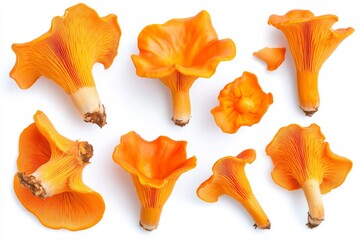 An isolated scene of a Chanterelle Mushroom flying in the air against a background, with the ingredient food for the mushroom flying in the air.