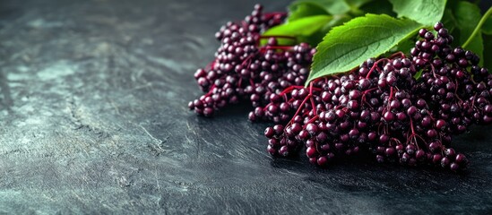 Poster - A cluster of elderberry fruits on a black wooden table. with copy space image. Place for adding text or design