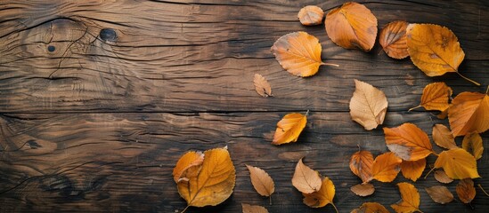 Wall Mural - Square autumn background featuring fall leaves a flat lay with copyspace on a wooden surface flat lay