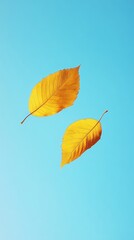 Poster - Two yellow leaves on blue background, minimalistic