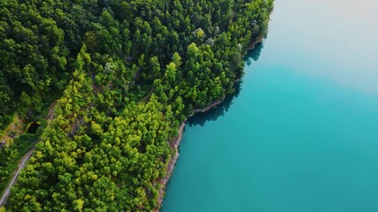 Wall Mural - Aerial drone top down view of lake among forest with beautiful turquoise water in summer day, mountains and tree tops.