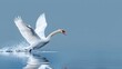 © sakareeya - Swan taking flight from the water's surface minimalist art media by magazine