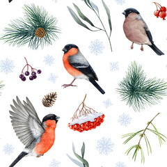 winter time bullfinch birds seamless pattern, natural elements, pine branches, rowanberry snow cover