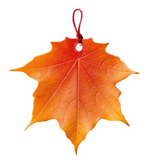 Wall Mural - PNG Price tag paper label autumn leaf shape maple plant tree.