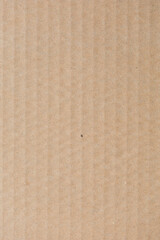 Canvas Print - Close up of Old brown paper texture  visible. Paper fibers suitable for use as background images or decorations