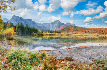 Wall Mural - fabulous autumn scene of sunny morning on almsee lake.